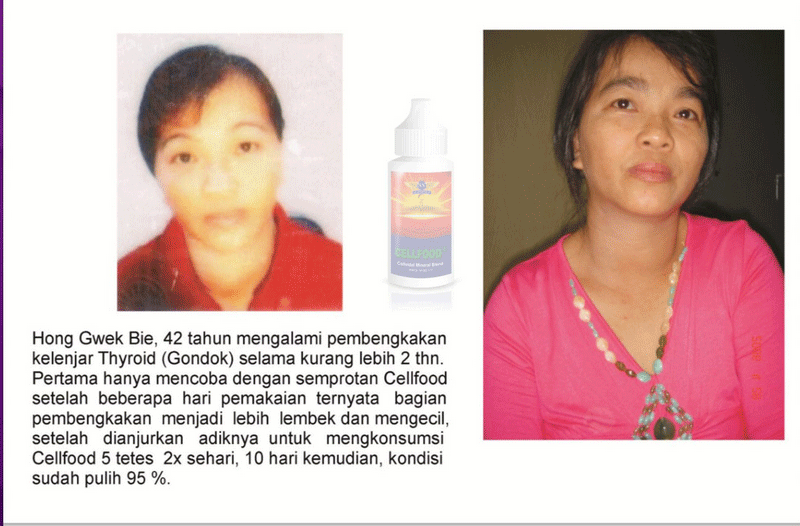 Testimoni 12